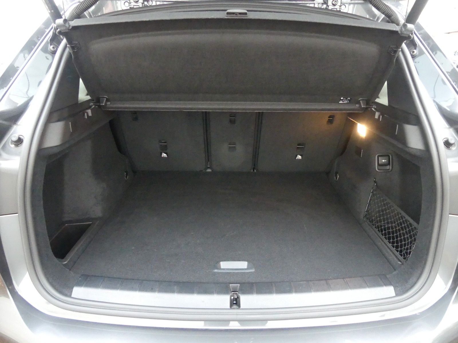 Fahrzeugabbildung BMW X1 xDrive 25 e Advantage, Business, PDC, AHK